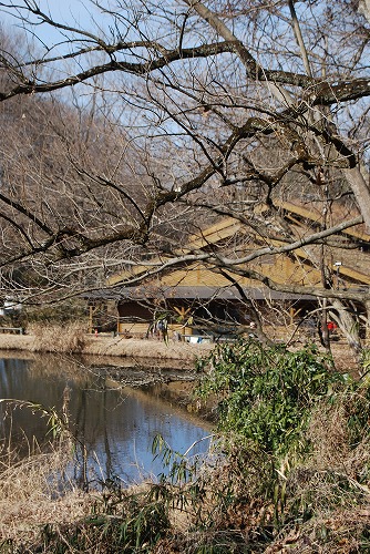 春を探しに…緑の森博物館へ_c0124100_21532614.jpg