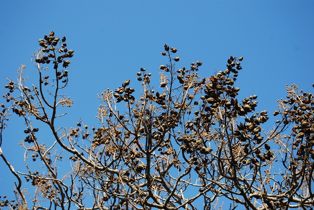 c0124100_2205245.jpg