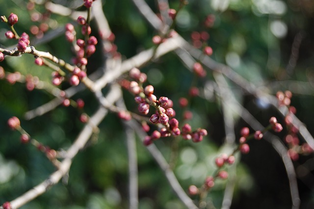c0124100_2213830.jpg