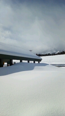 f0226500_2561166.jpg