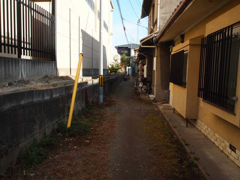 a0050302_0523338.jpg