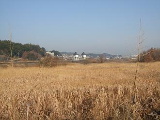 a0286304_1352438.jpg