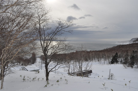 c0242406_23321129.jpg