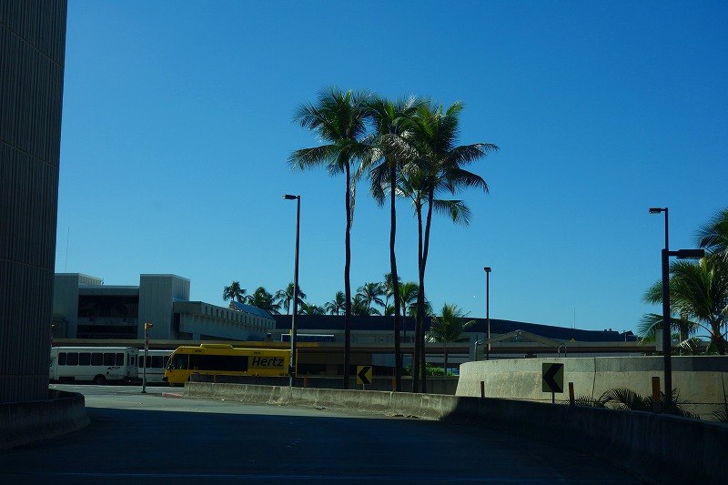 e0181908_1446087.jpg