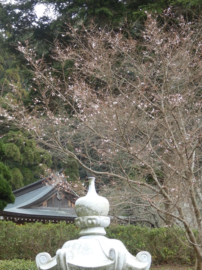 f0219710_719398.jpg