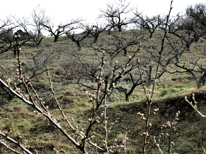 f0219710_7221397.jpg