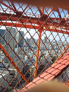 c0141011_1014869.jpg