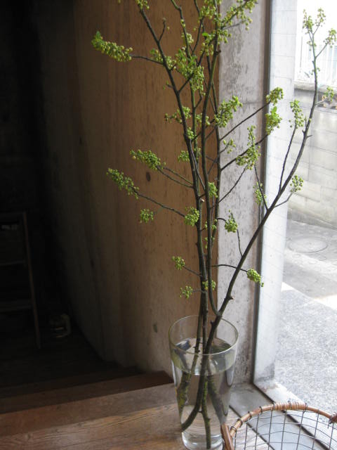 c0085916_1175155.jpg