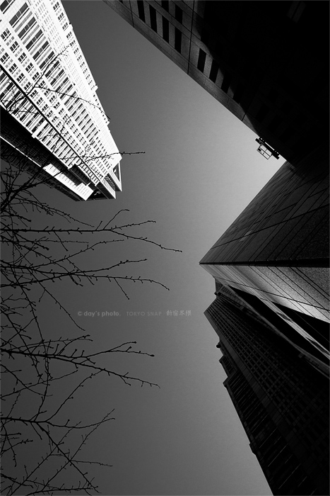 Tokyo Metropolitan Government_e0117517_2137.jpg