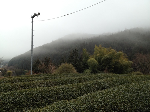 岐阜 白川町へ_b0220318_1059527.jpg