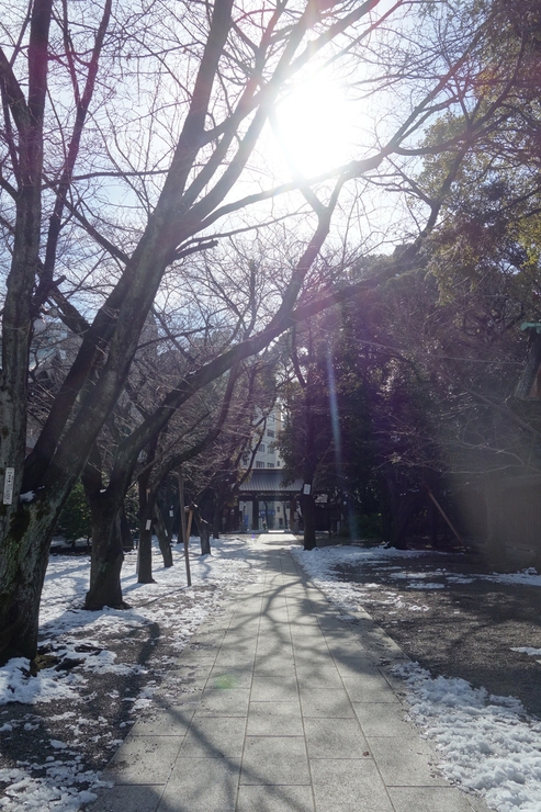 a0287336_23532651.jpg