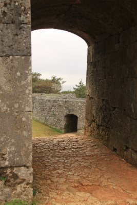 d0055236_15435723.jpg