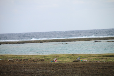 d0055236_17531572.jpg