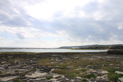 d0055236_1845201.jpg