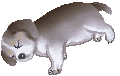 a0029347_7333767.gif