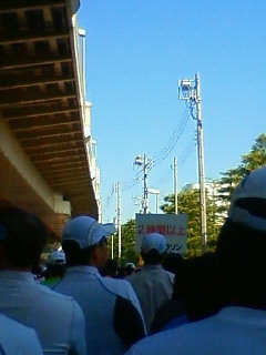 神奈川マラソン参戦記_d0184153_1613219.jpg