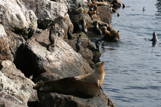 c0115366_2351331.jpg