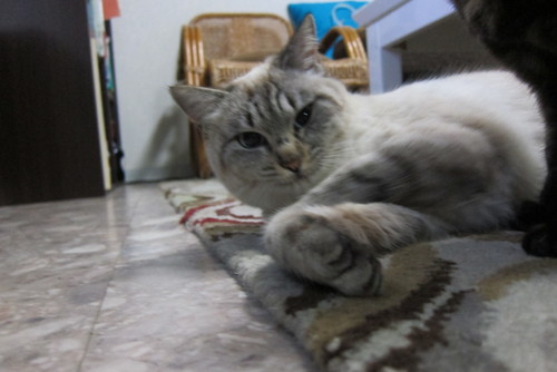 we need your help._c0153966_1503878.jpg