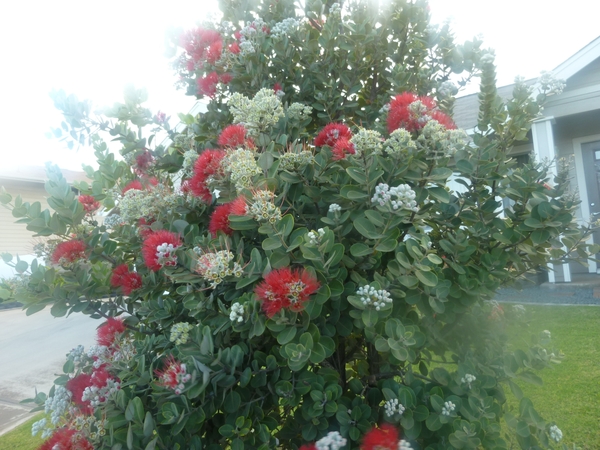 e0298866_18563480.jpg