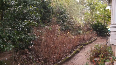 b0214473_1565798.jpg