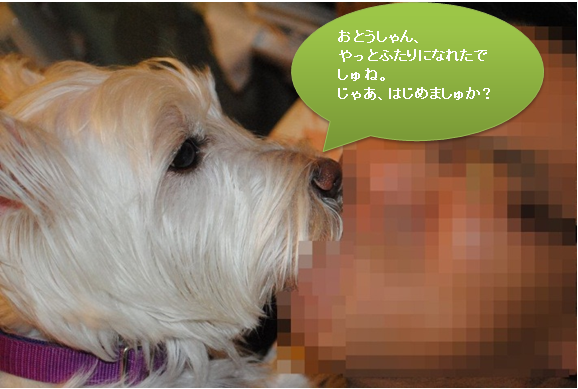 b0242873_14322992.png