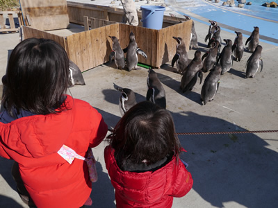 2013年　1月　31日（木）　高坂の動物園_c0004078_994295.jpg