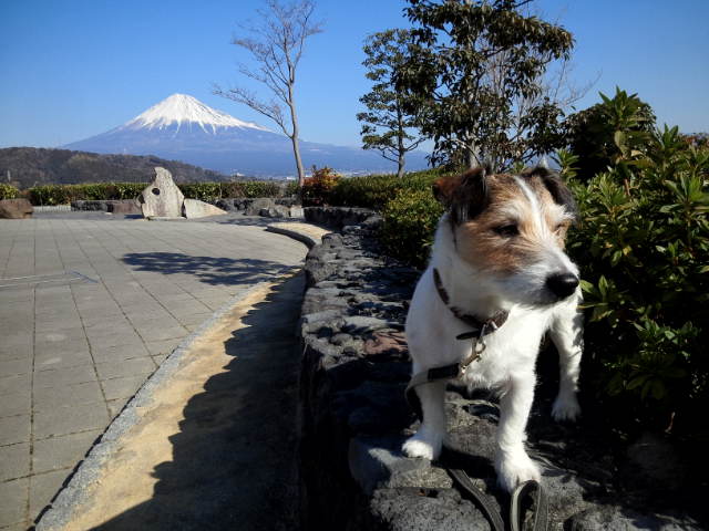 a0118079_18371385.jpg