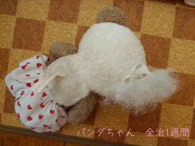 f0062790_1844258.jpg