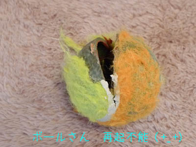 f0062790_18443395.jpg