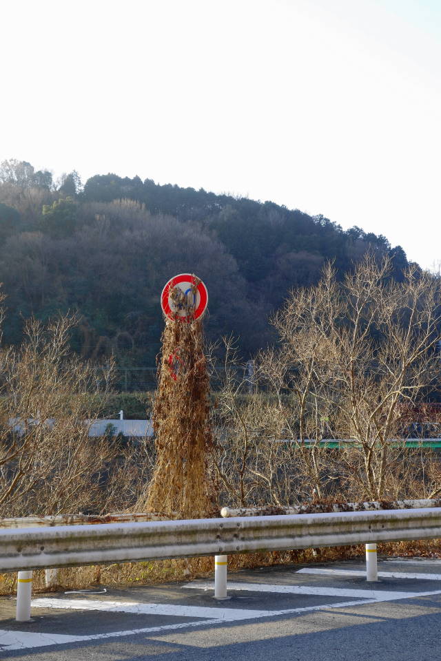 d0069495_19521450.jpg
