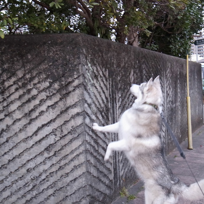 おおーっ!_c0049299_1259089.jpg