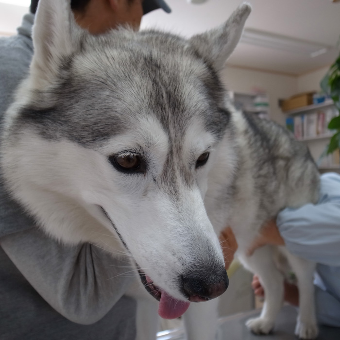 おおーっ!_c0049299_1310613.jpg