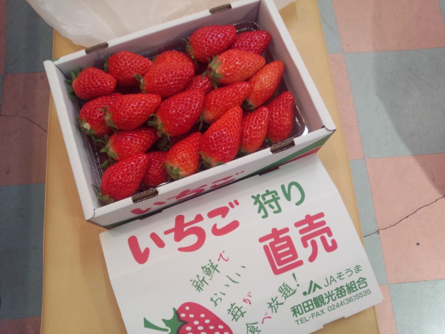 いただきました_c0140599_172958.jpg