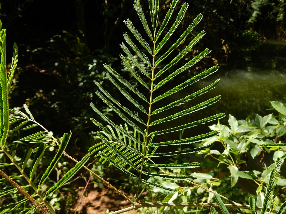 d0147002_0352441.jpg