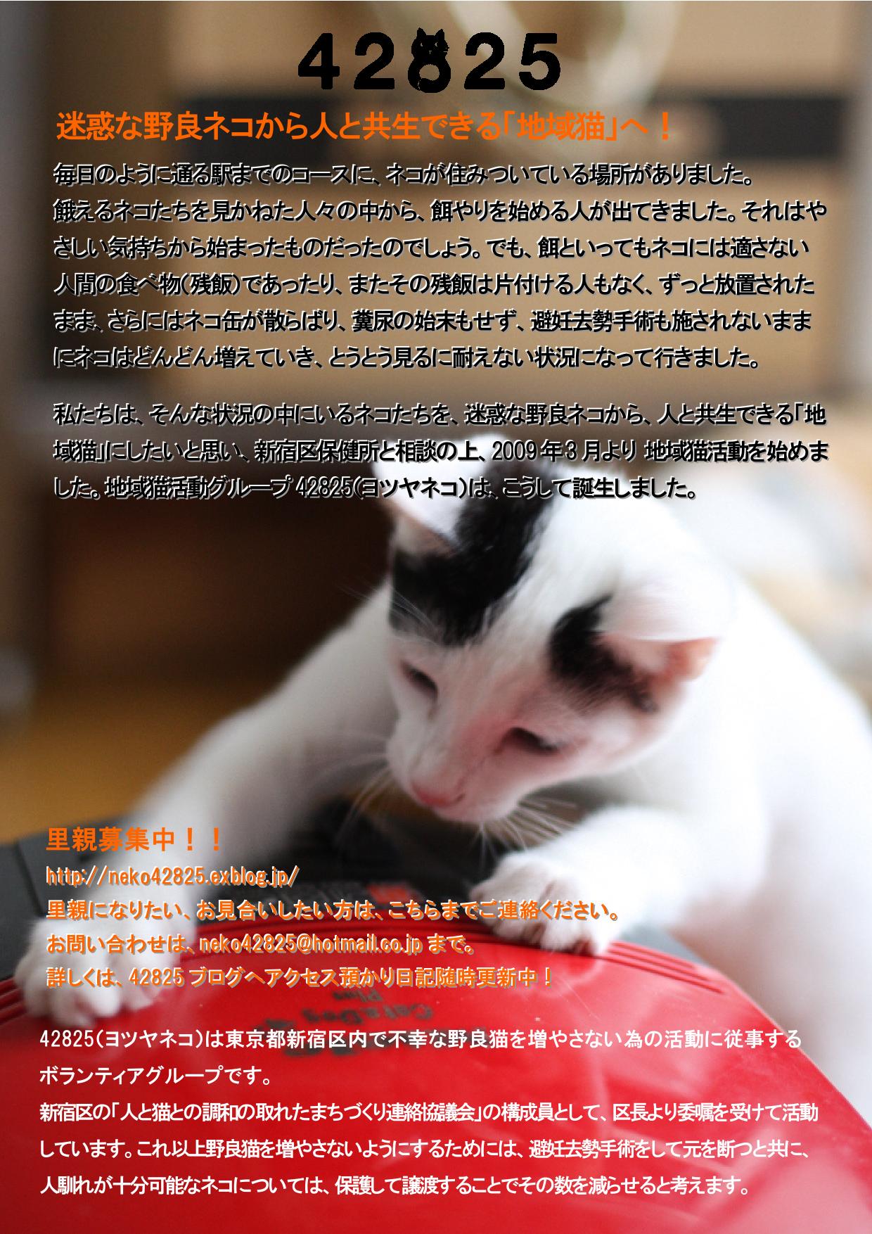 里親さんの応募方法 425 里親さんの応募方法 425