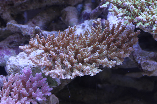 b0240608_1643523.jpg