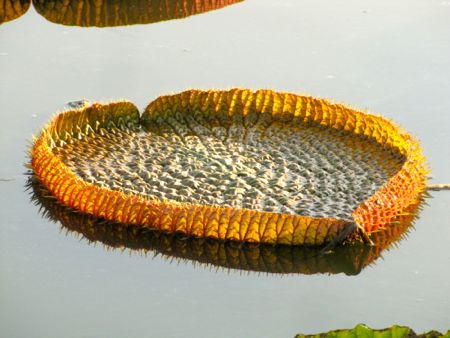 b0051109_1153368.jpg