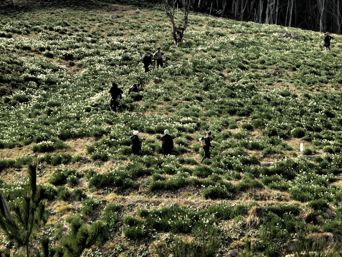 f0219710_6424657.jpg