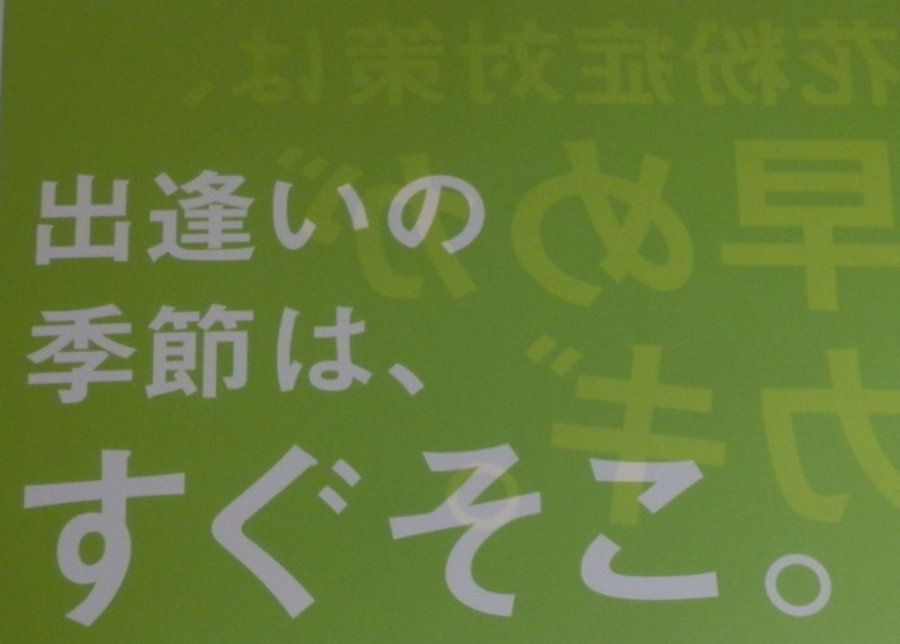 c0062511_23375656.jpg
