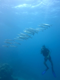 a0043520_22452440.jpg