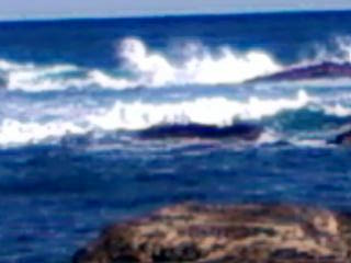 a0279321_1551643.jpg