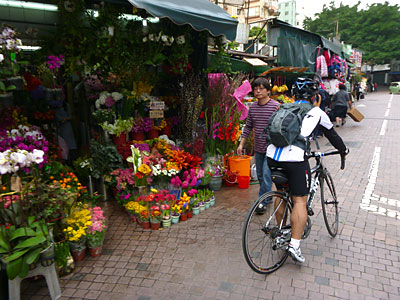 d0023725_11101676.jpg