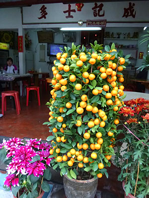 d0023725_11101778.jpg