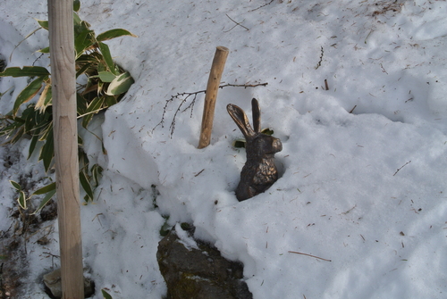 今日はウサギが見えた。_d0170835_1721034.jpg