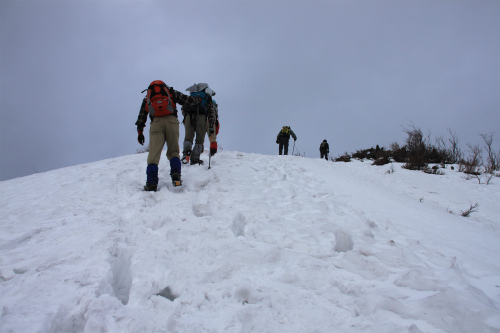 d0055236_2332241.jpg