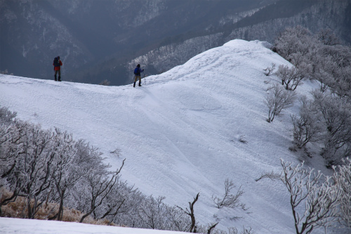 d0055236_23463769.jpg