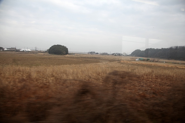 a0242438_19391726.jpg