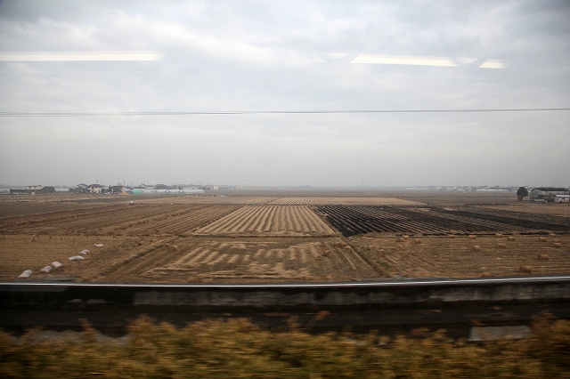 a0242438_19392766.jpg