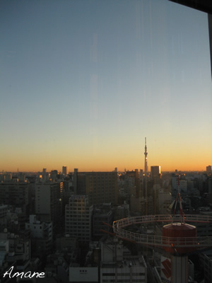 空色のバッグ_e0262651_2029211.png