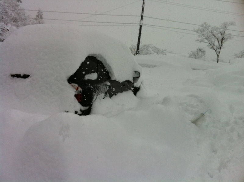 雪少春早_c0204455_237229.jpg